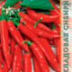 Hot pepper Svirel seeds 0.15g