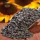 Sunflower microgreen seeds