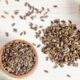 Milk thistle seeds for sprouting