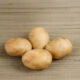 Seed potato tubers Sappho