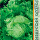 Head lettuce Great Likes 659 seeds 0.3g