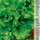 Leaf lettuce Vitamin seeds 0.3g