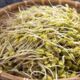 Soybean seeds for sprouting