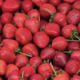 Saplings of garden strawberry Ruby Gem (Ruby Gem)