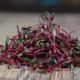 microgreen beetroot sprouts