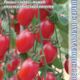 Tomato Alina F1 seeds 5pcs