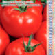 Tomato Dundee F1 seeds 5pcs