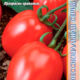 Tomato Dual Early F1 seeds 10pcs