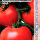 Tomato seeds grade Igido F1