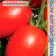 Tomato Iskra Siberia seeds 0.08g