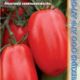 Tomato seeds grade Kasper