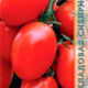 Tomato Kubyshka seeds 0.08g