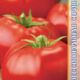 Tomato Matissimo F1 seeds 5pcs