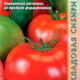 Tomato seeds grade Metelitsa