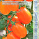 Tomato Mila F1 seeds 5pcs