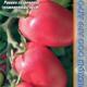 Tomato seeds grade Novosibirsk pink