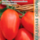 Tomato seeds grade Piket