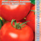 Tomato Sunrise F1 seeds 10pcs