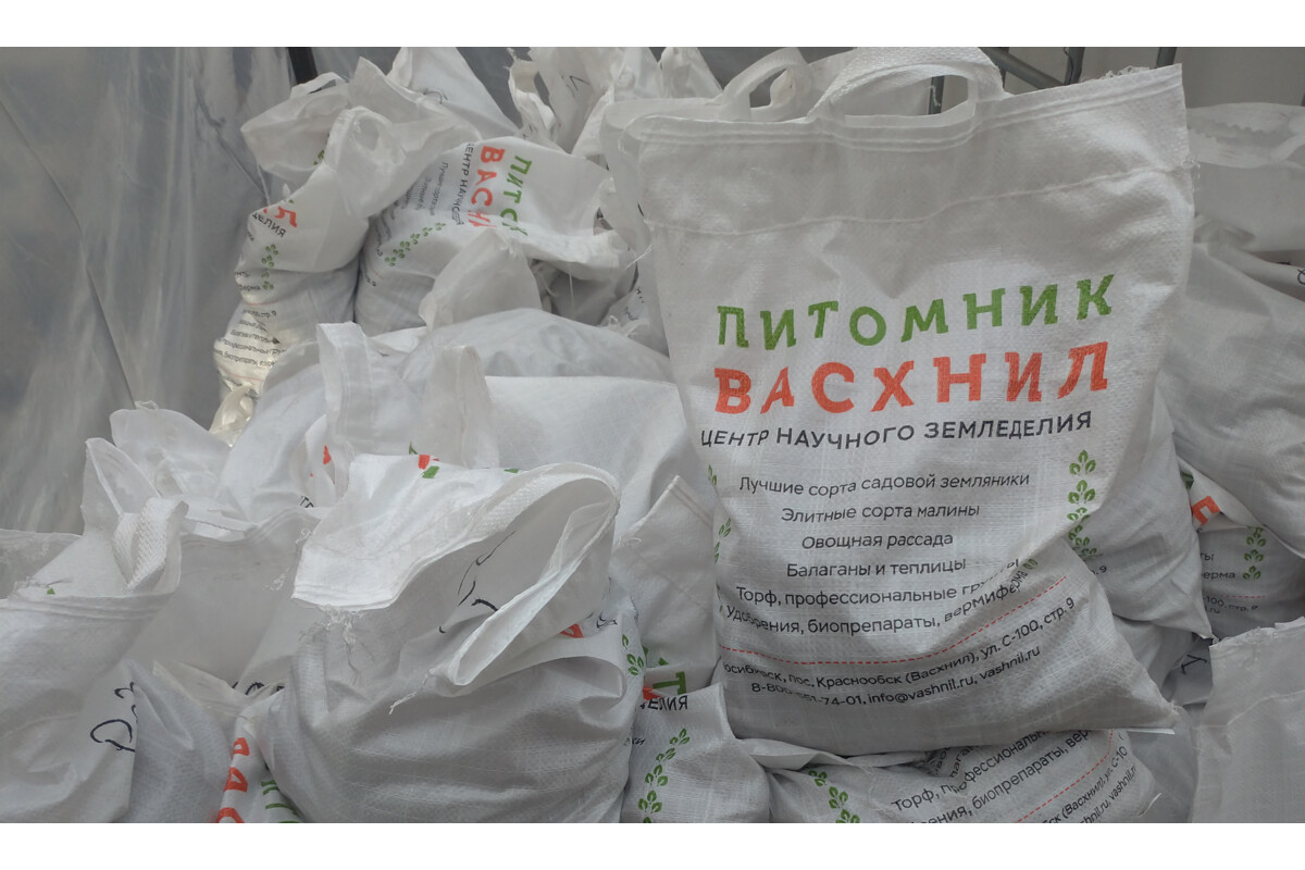 ВАСХНИЛ картофель. Оптом un. Семенной картофель купить в Новосибирске на Васхниле.